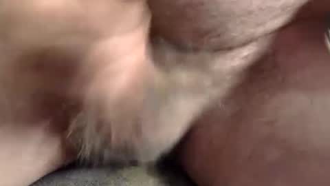 pasprinter online show from September 19, 4:35 am