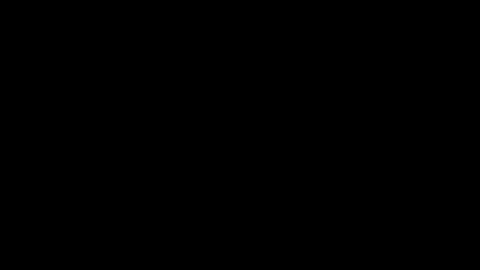 patpatricks online show from January 12, 7:53 pm