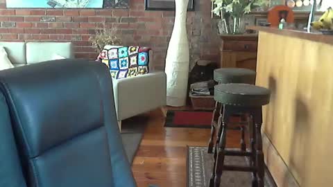 Snapshot of patvac chatting on December 29, 12:52 am patvac online show from December 29, 12:52 am