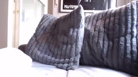 Ben online show from October 23, 7:56 am