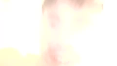 Paw online show from December 30, 10:55 pm