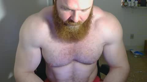 Snapshot of pec_inspector chatting on February 13, 3:50 am Pec inspector online show from February 13, 3:50 am