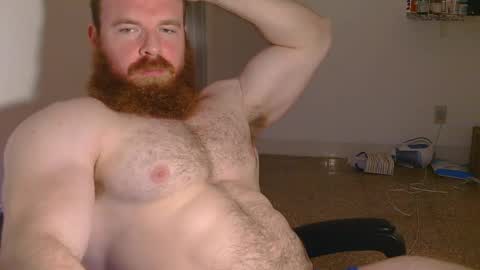 Snapshot of pec_inspector chatting on February 5, 3:45 am Pec inspector online show from February 5, 3:45 am