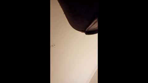 pelekenone online show from April 1, 4:25 am