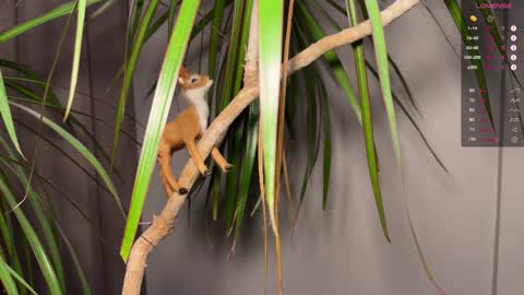 phill_maer online show from March 14, 5:09 pm