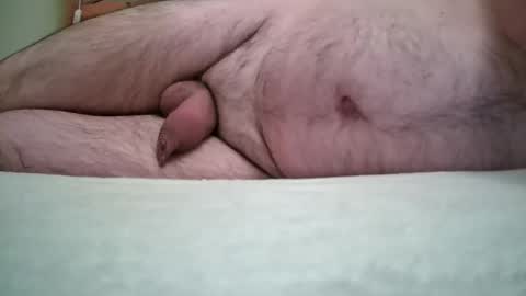 pintfiller online show from March 28, 8:47 am