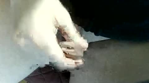 Snapshot of pippo2704 chatting on March 1, 10:31 pm pippo online show from March 1, 10:31 pm