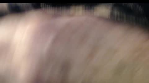 Snapshot of pllkgh45ymn chatting on January 3, 5:42 pm pllkgh45ymn online show from January 3, 5:42 pm
