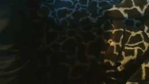 pokerffface79 online show from October 29, 12:08 pm