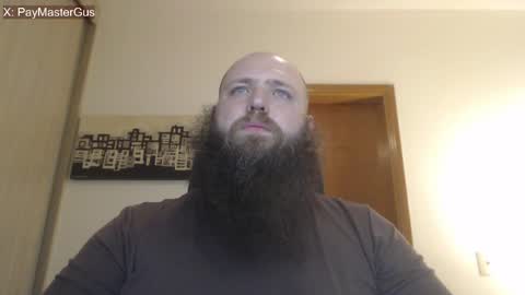 Bear online show from April 23, 3:33 am