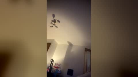 popz88 online show from March 16, 10:57 pm