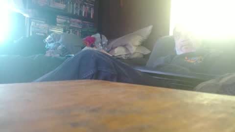 porkingit400 online show from May 12, 12:57 pm