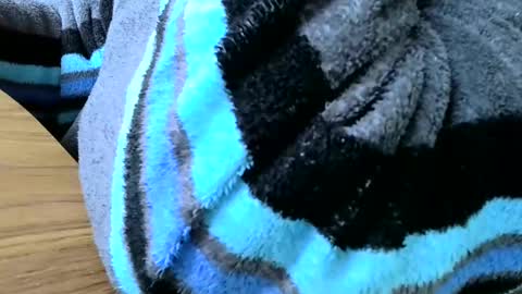 Snapshot of poshman65 chatting on February 23, 12:54 pm poshman65 online show from February 23, 12:54 pm