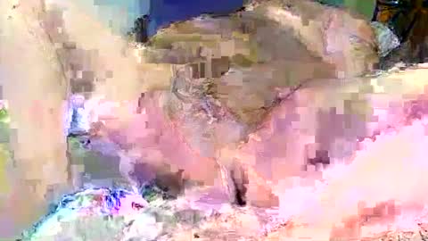 dikud0wn online show from September 14, 2:35 am