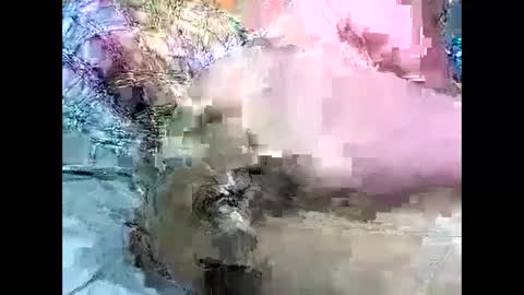 dikud0wn online show from December 29, 8:26 pm