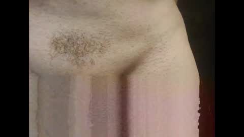 pprabit online show from October 27, 9:33 am