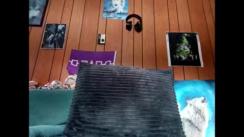 prettysolid7 online show from October 13, 1:06 pm