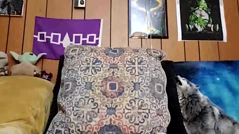 prettysolidd7 online show from January 28, 8:57 am
