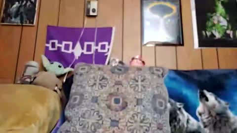 prettysolidd7 online show from January 18, 12:26 pm