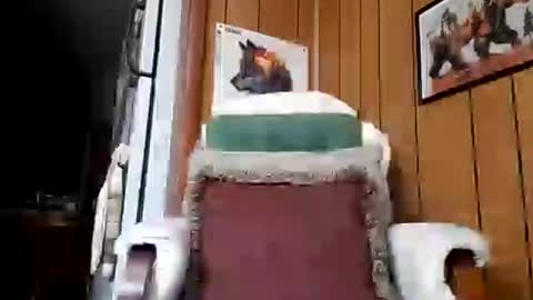 prettysolidd7 online show from December 3, 3:51 am