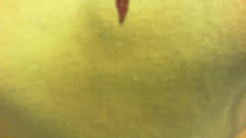 princetonbar55 online show from February 7, 7:06 pm