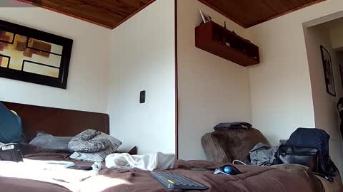 Probardetodo independent model online show from January 9, 2:22 pm