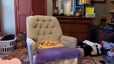 Snapshot of professorspanky chatting on January 27, 5:04 pm professorspanky online show from January 27, 5:04 pm
