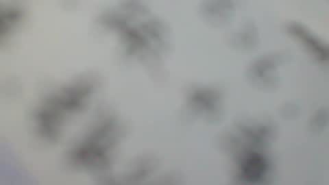 pu55y777 online show from February 10, 1:14 am