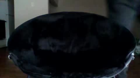 Snapshot of puertoricang chatting on January 5, 4:06 pm puertoricang online show from January 5, 4:06 pm