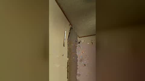 punkhaw33 online show from April 2, 11:45 pm