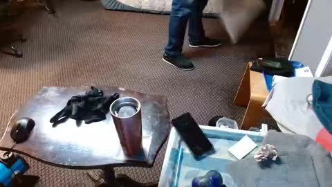 Jojo online show from April 2, 5:38 am