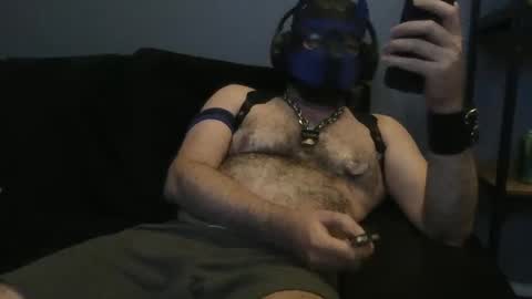 Snapshot of pup_tank chatting on February 27, 7:12 am pup_tank online show from February 27, 7:12 am