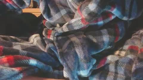 Snapshot of pupscrote chatting on February 10, 5:14 am Pup Scrote online show from February 10, 5:14 am