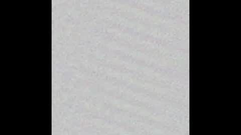 Puppers online show from February 23, 7:49 am