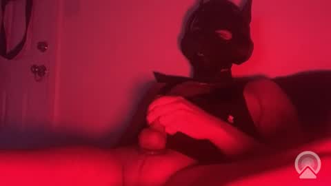 pupvoid online show from November 18, 4:05 am