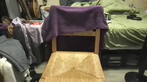 Purple online show from November 1, 10:58 pm