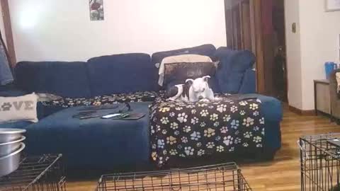 Mark online show from October 1, 5:17 pm