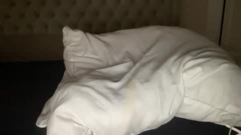 qlf0506 online show from November 12, 2:06 am