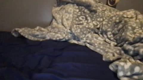 Quinn online show from March 31, 7:21 am