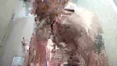 rabbit41390 online show from February 25, 3:52 am