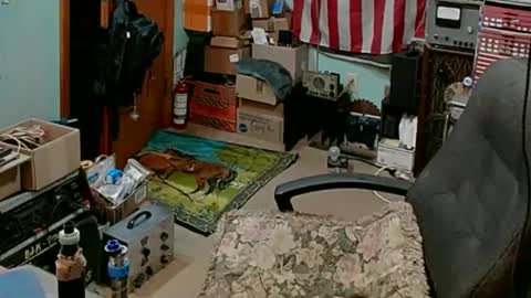 Snapshot of randalltotazz chatting on March 3, 2:22 am Randall online show from March 3, 2:22 am