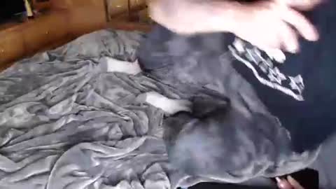 randomizedusername69 online show from October 20, 4:49 am