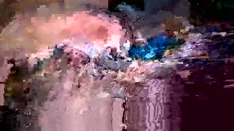 Who knows online show from February 3, 11:15 am