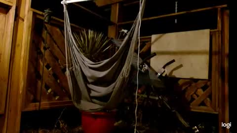 ready4aride2day online show from November 13, 3:22 am