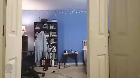 rebelstarlight online show from April 6, 8:04 am