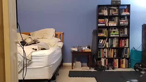 rebelstarlight online show from March 31, 7:43 am