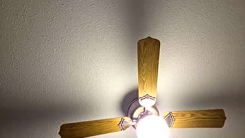 Snapshot of red24devils chatting on October 26, 5:48 pm red24devils online show from October 26, 5:48 pm