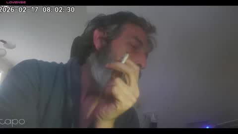 reza240782 online show from February 17, 8:02 am