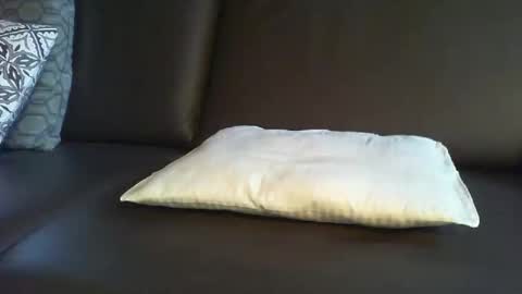 Richie online show from November 9, 12:42 pm