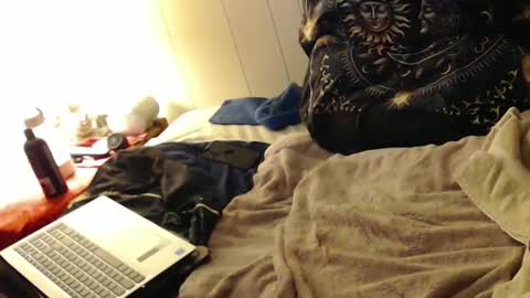 rickrbg123 online show from February 13, 4:22 am